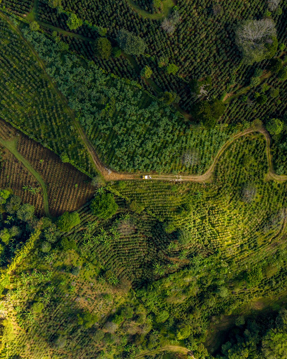 Vista aérea de la finca KaPHi 1240 en Nirgua