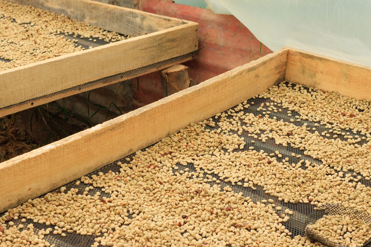KaPHi Natural